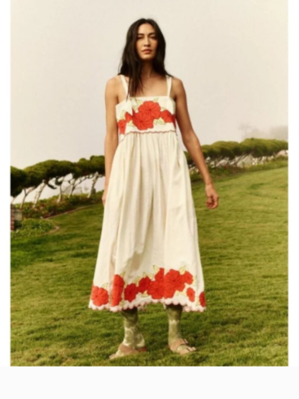 New The Great. The Applique Floral Horizon Midi Cotton Dress Sz 2 (M)